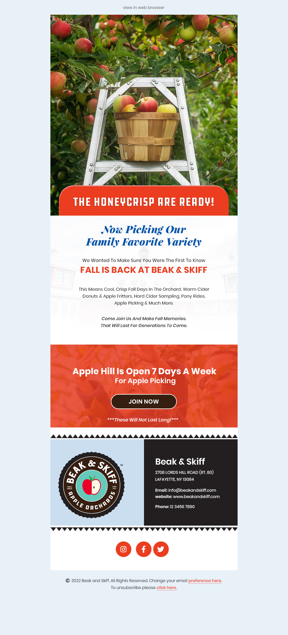 Email Marketing Design by Expert Designer for this project | Design #29203596