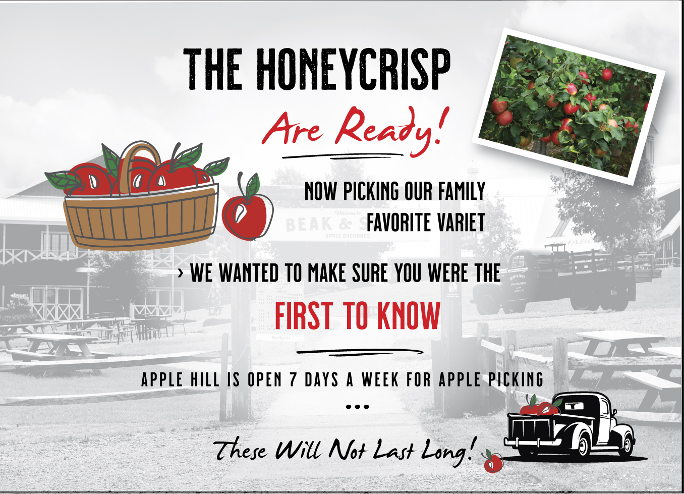 Email Marketing Design by Krasimira Georgieva for this project | Design #29200117