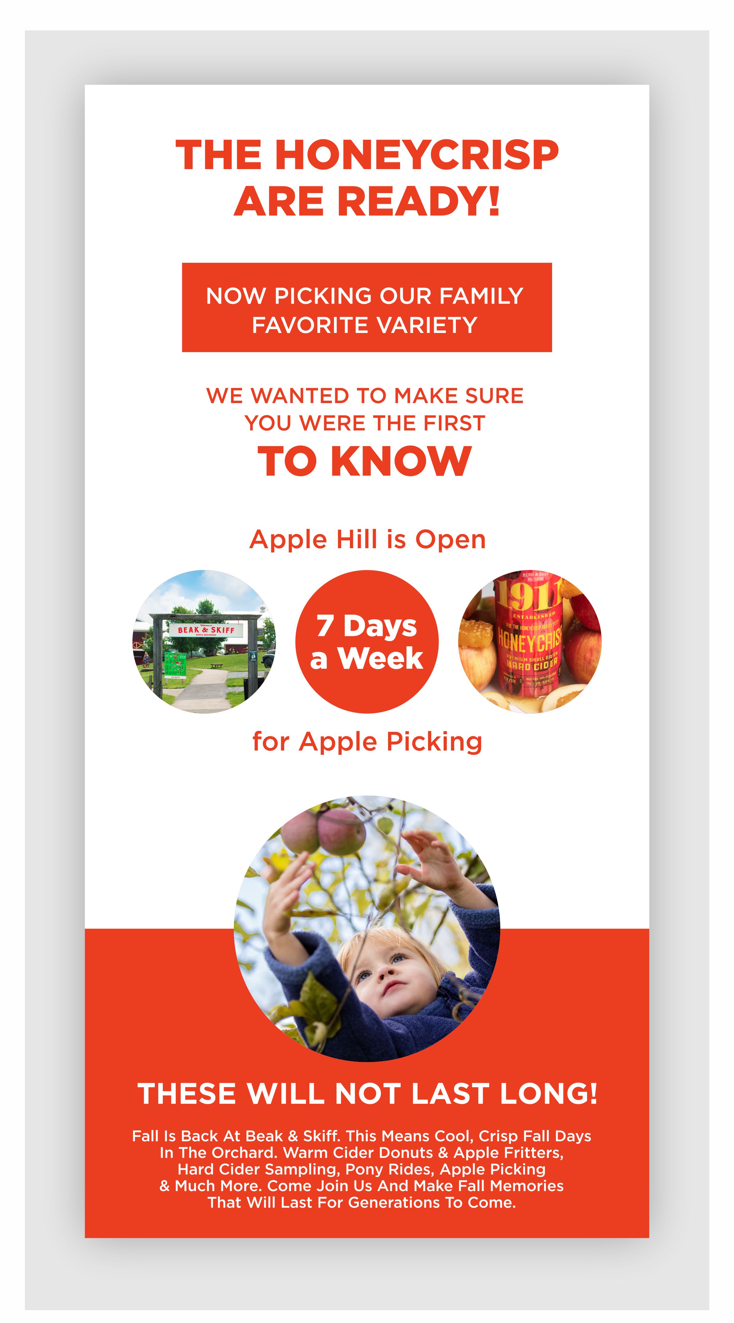 Email Marketing Design by sam_reef for this project | Design #29200664