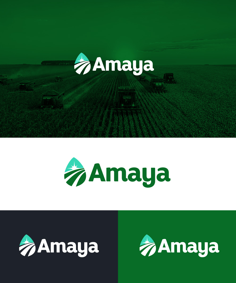 Graphic Design by Sergio Coelho for this project | Design #29213952