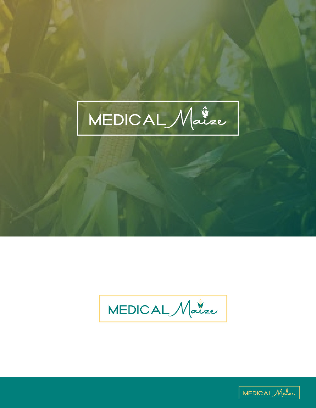 Logo Design by syra1233 for Medical Maize, LLC | Design #29205729