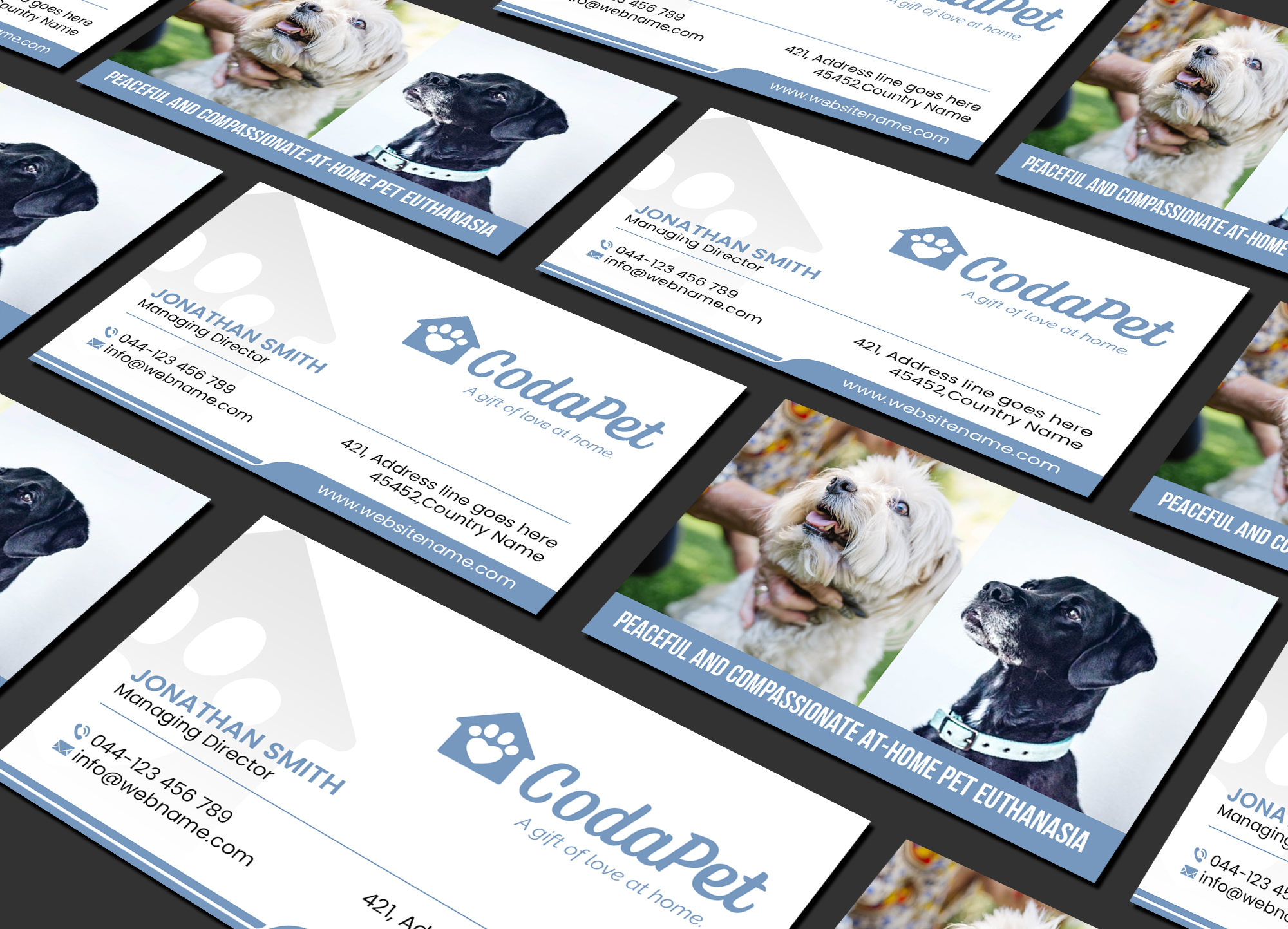 Business Card Design by Creations Box 2015 for CodaPet | Design #29219620