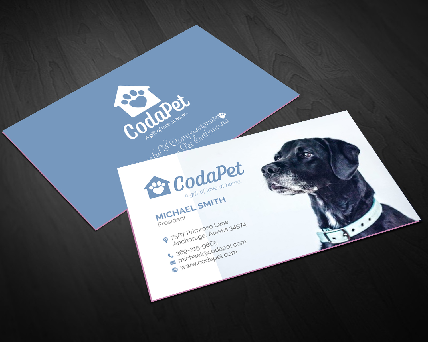 Business Card Design by chandrayaan.creative for CodaPet | Design #29224453
