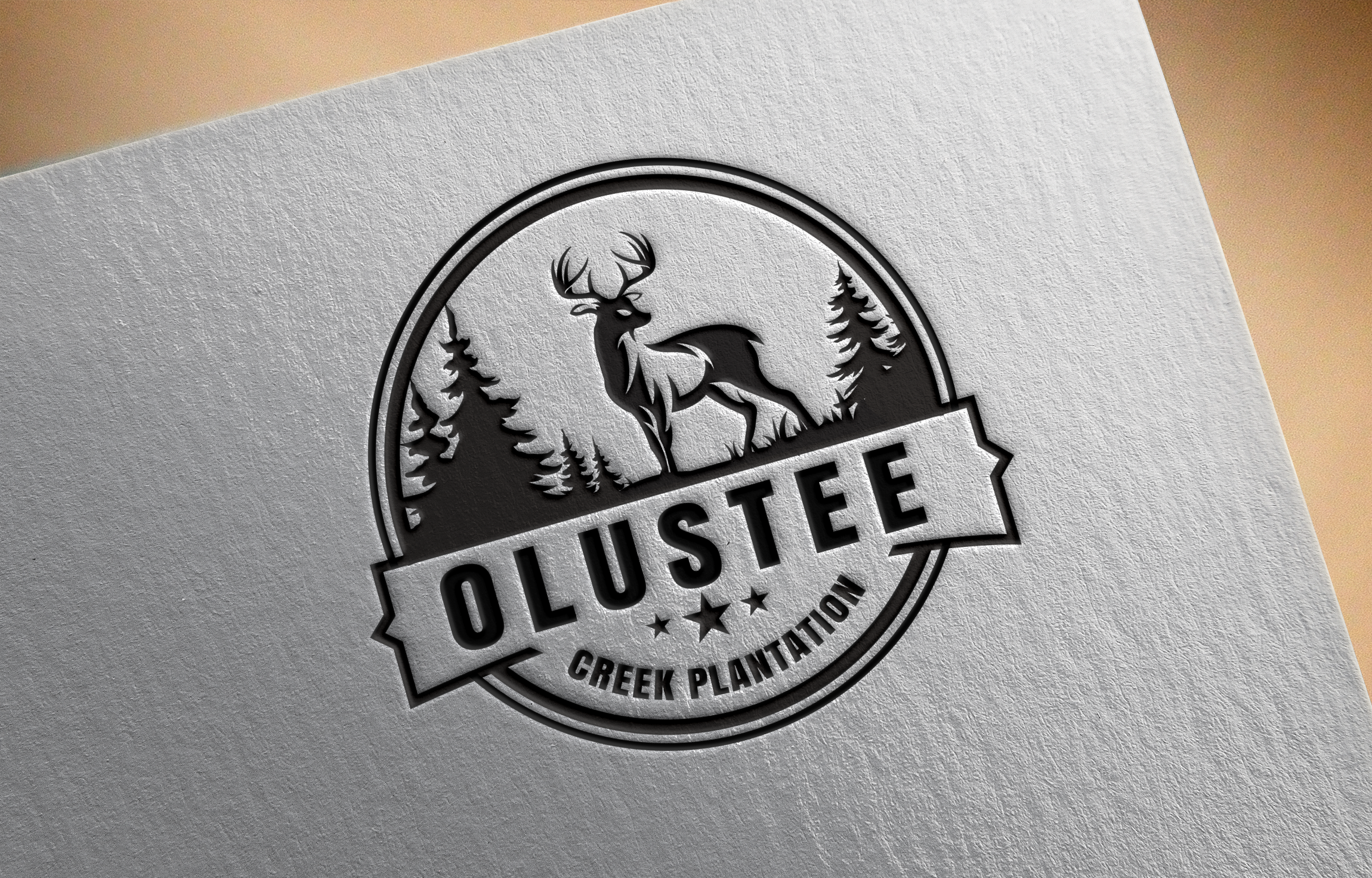 Logo-Design von Graphixpointt für dieses Projekt | Design #29215742