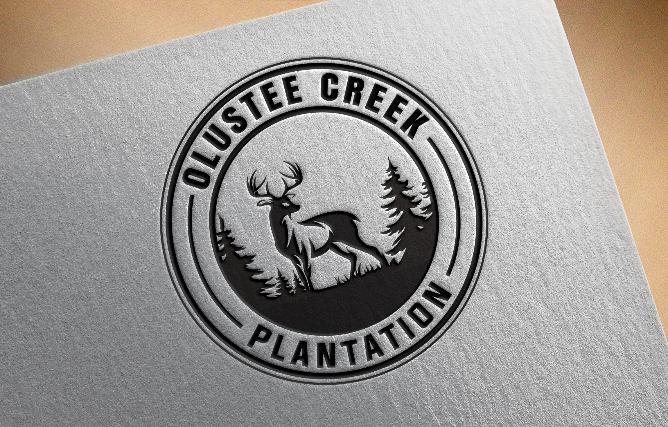 Logo Design by Graphixpointt for this project | Design #29215778