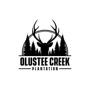 Logo Design by And 1 artstudio
