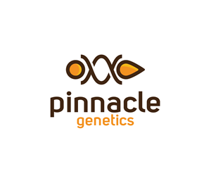 Logo Design by Onse Officials