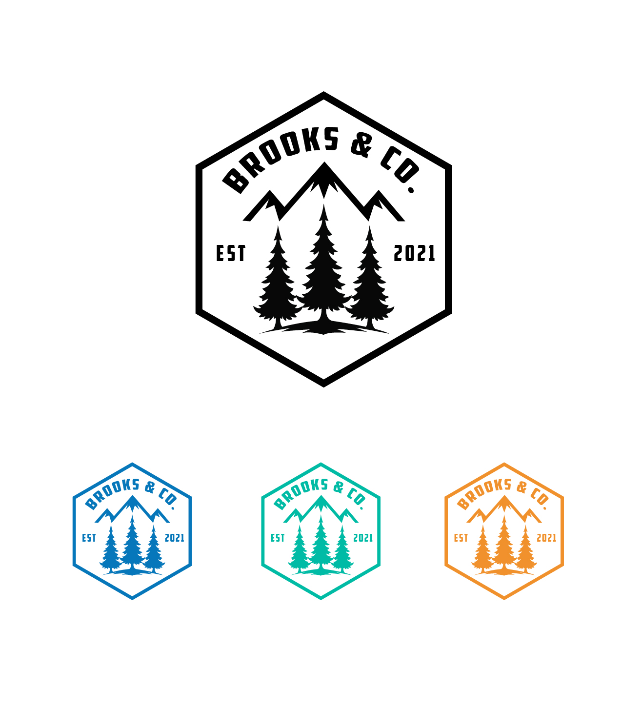 Logo Design by Xyper_Design for Brooks & Co. | Design #29229735