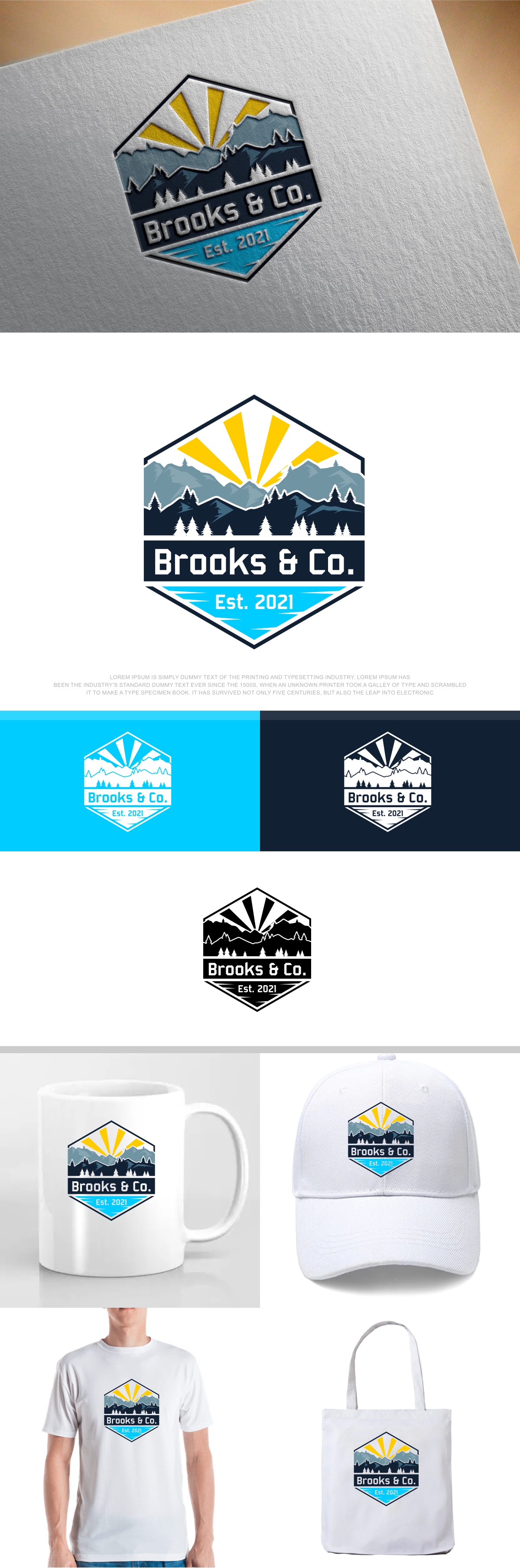 Logo Design by fly  design for Brooks & Co. | Design #29230834