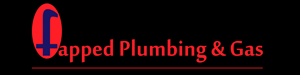 Logo Design by Vusomuzi for pete's plumbing and gas | Design: #3127102