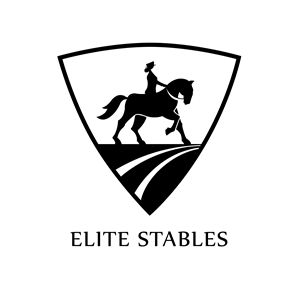 Logo Design by TheProtantArtist
