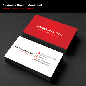 Business Card Design by Expert Designer
