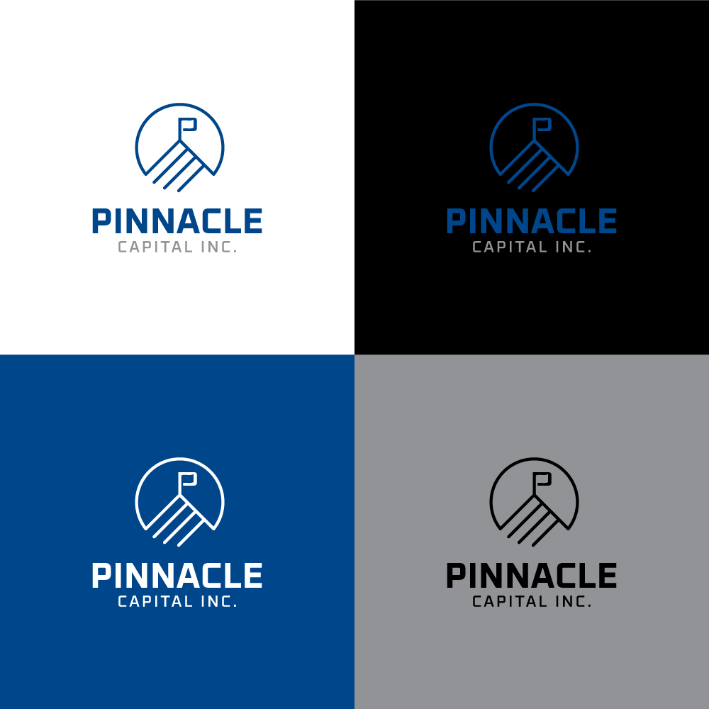 Diseño de Logo por Kavi negi para este proyecto | Diseño #29265913