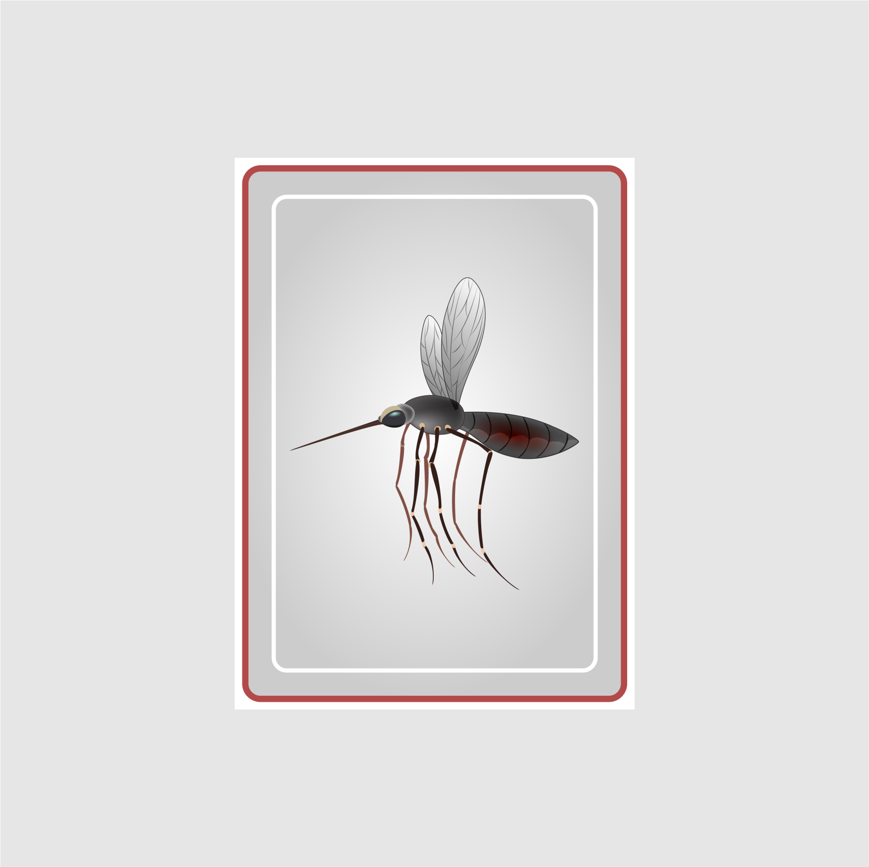 Graphic Design by Jose Loaiza for this project | Design #29246375