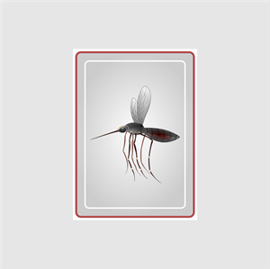 Graphic Design by Jose Loaiza for this project | Design: #29246375