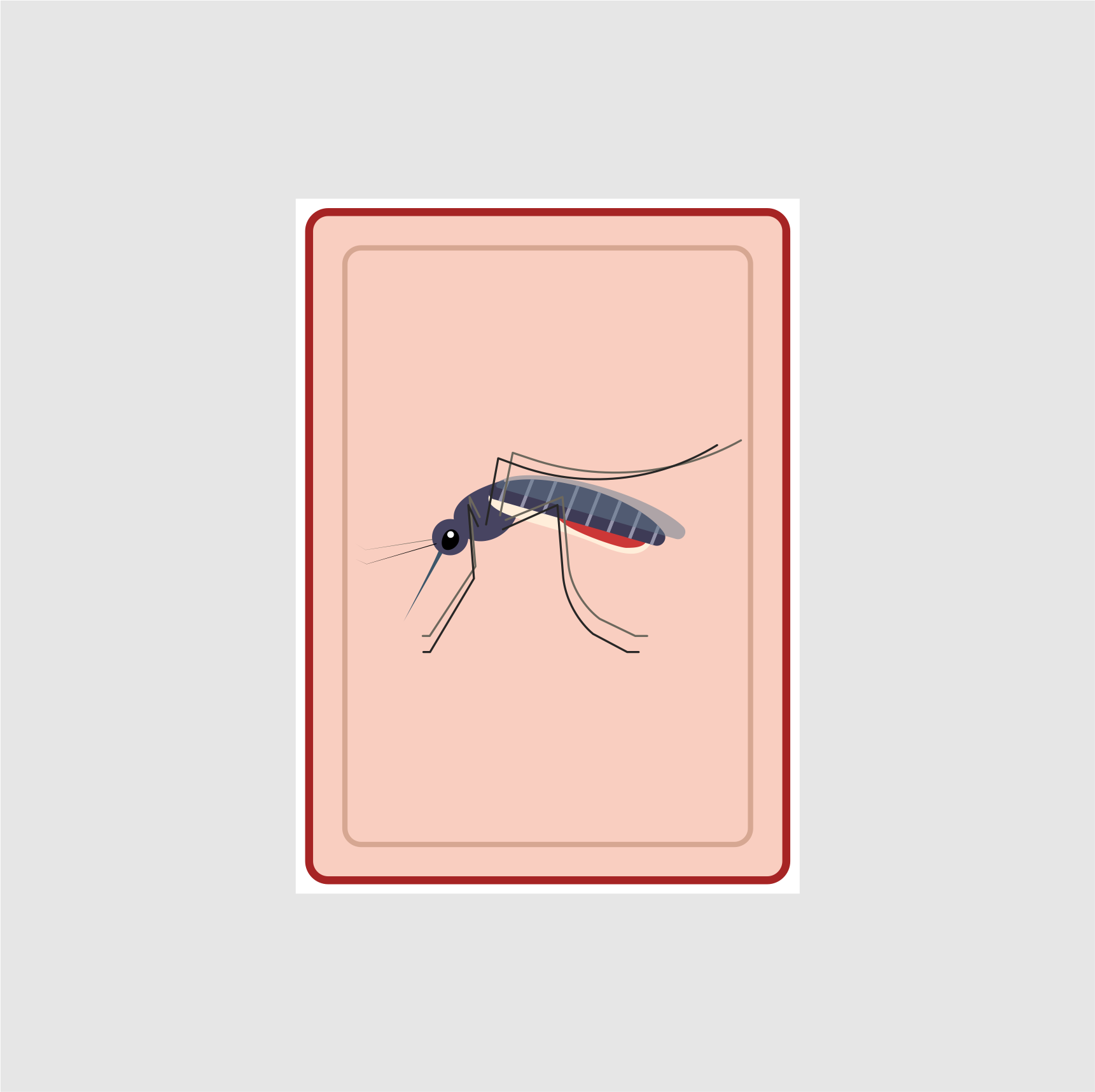 Graphic Design by Jose Loaiza for this project | Design #29246381