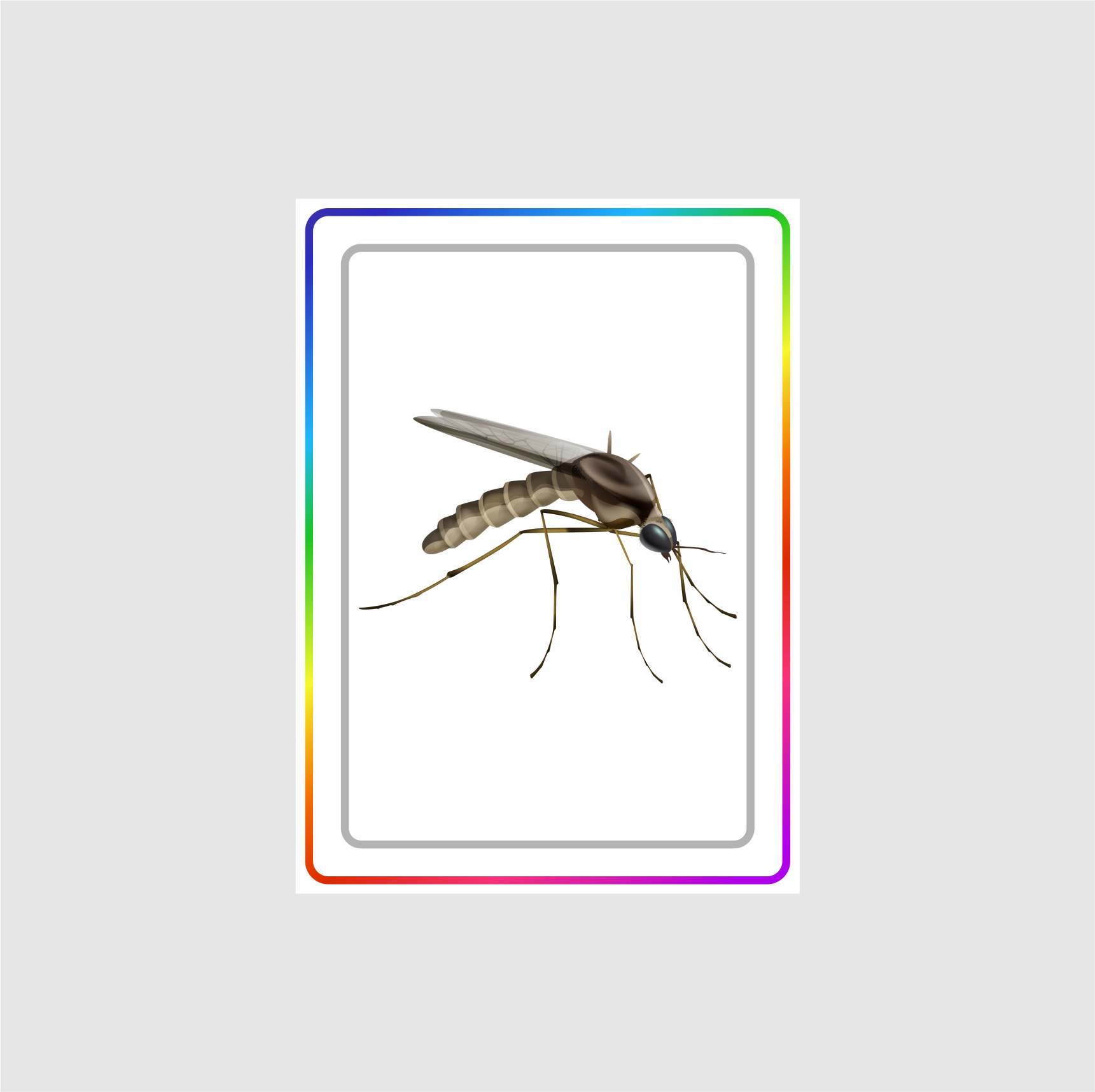 Graphic Design by Jose Loaiza for this project | Design #29246383