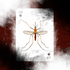 Mosquito Design for Playing Cards - 1st, 2nd, and 3rd all get paid! | Design Graphique par Fine Graphics House