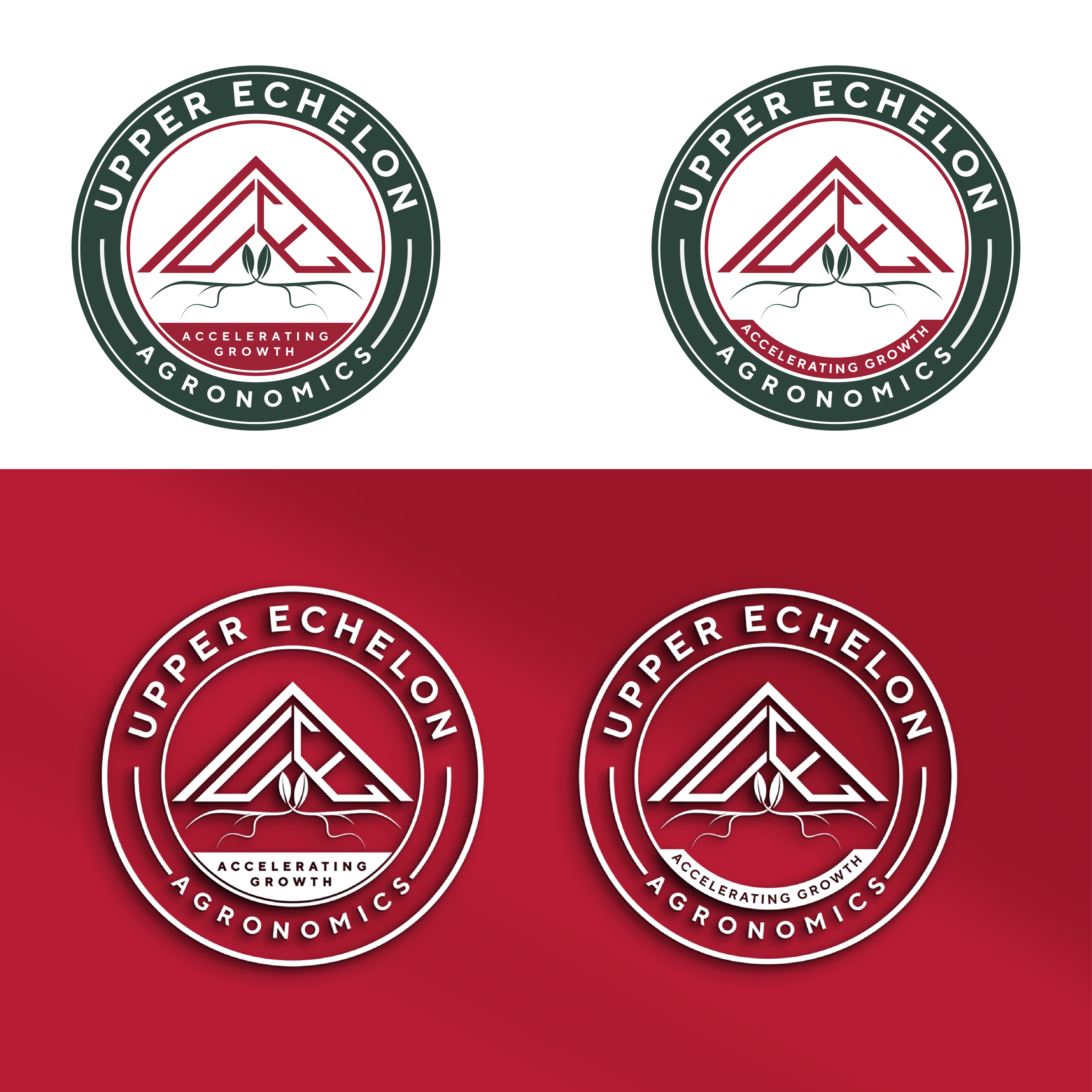Logo Design by sarrita for this project | Design #29272439