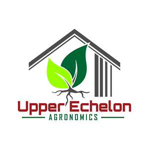Logo Design by Maman Chupenk