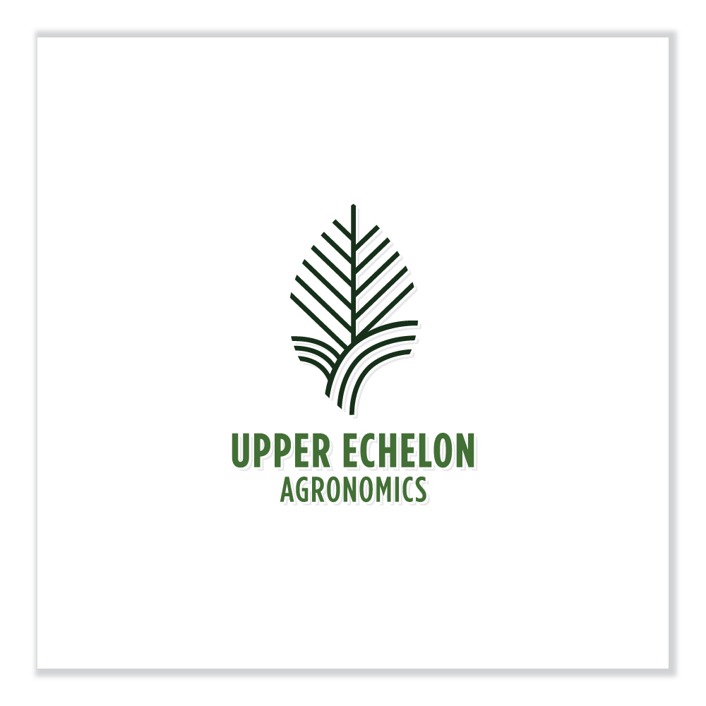 Logo Design by Sujit Banerjee for this project | Design #29264084