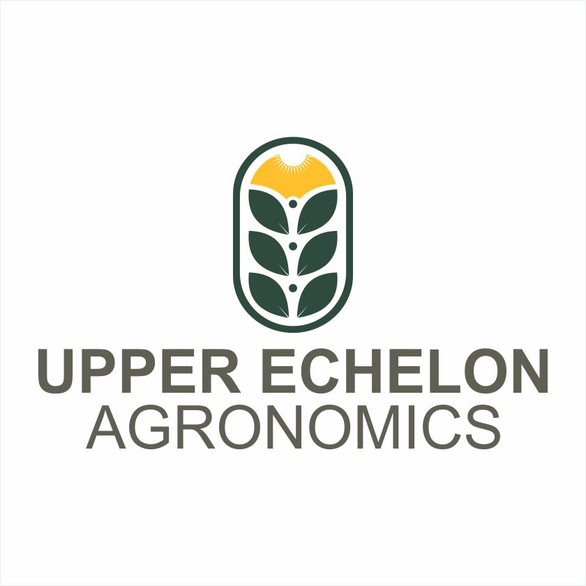 Logo Design by Barros Design for this project | Design #29247506