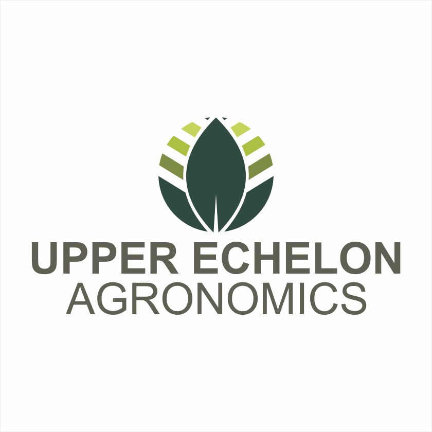 Logo Design by Barros Design for this project | Design #29247508