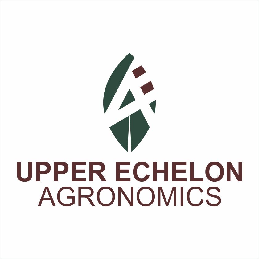 Logo Design by Barros Design for this project | Design #29247512