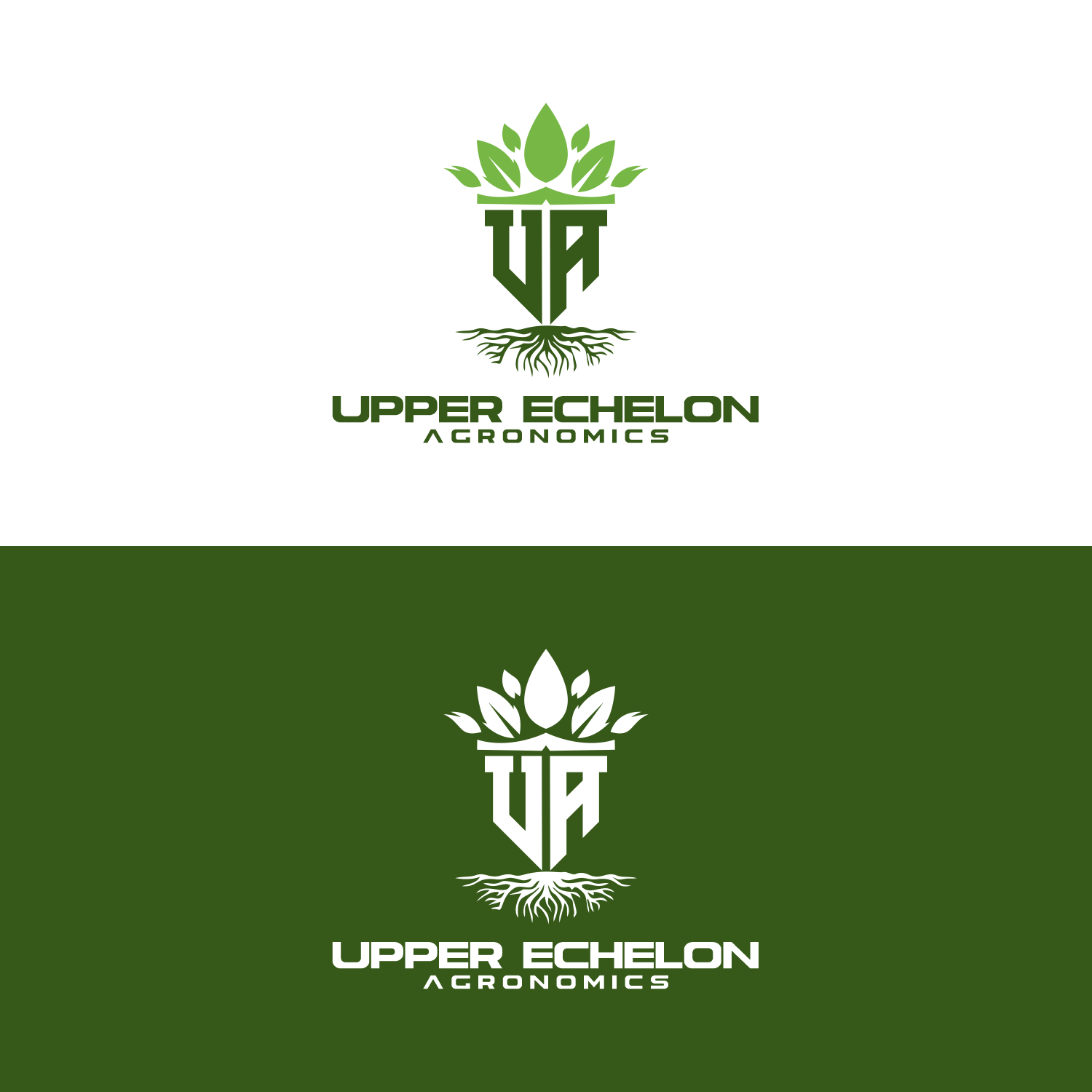 Logo Design by in creative for this project | Design #29257491