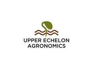 Logo Design by BNdesigner for this project | Design: #29257567
