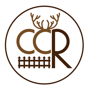 Design Image