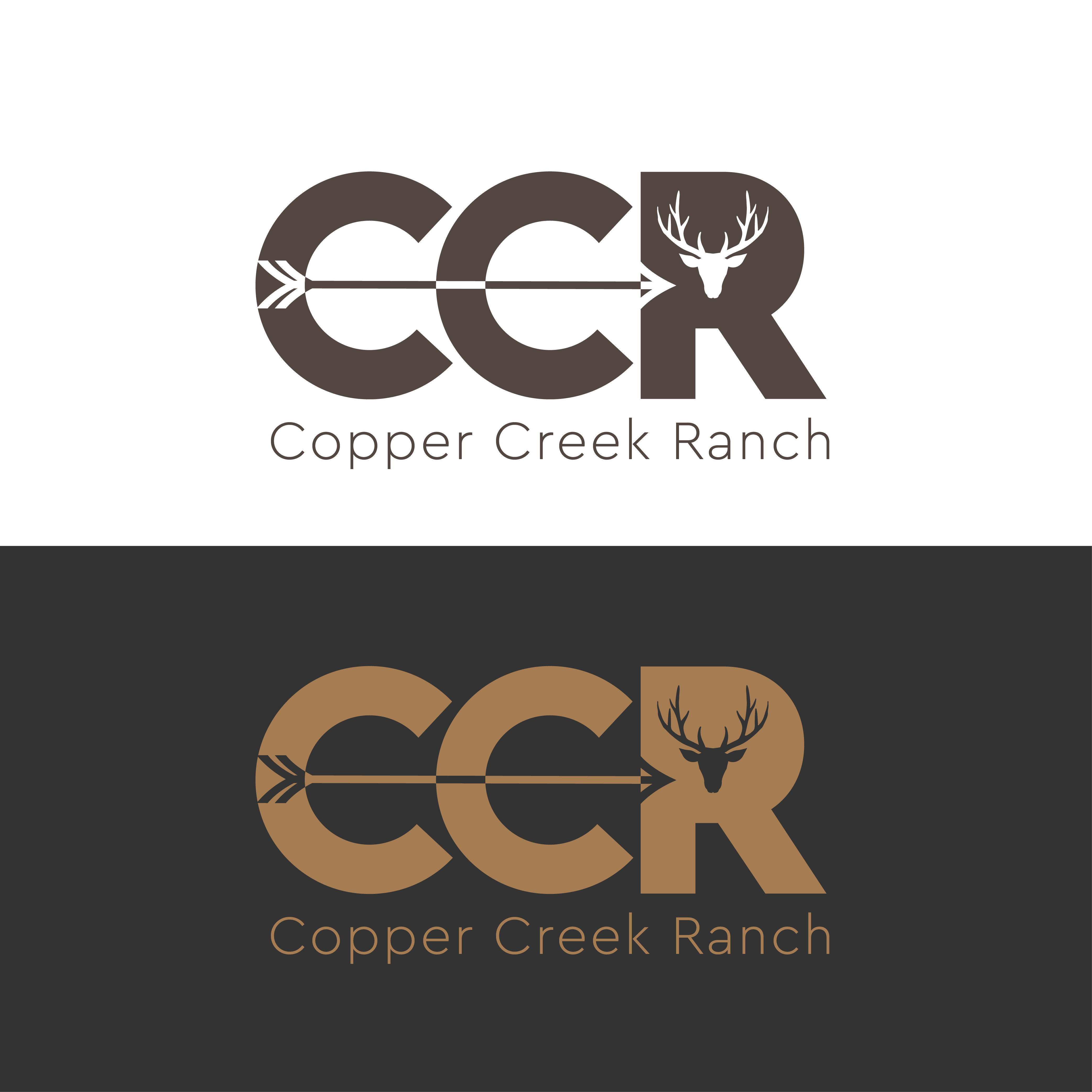 Design de Logo par raanvinu pour ce projet | Design #29300319