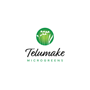 Diseño de Logo por JohnnyCactus para Telumake Pty Ltd | Diseño #29262208