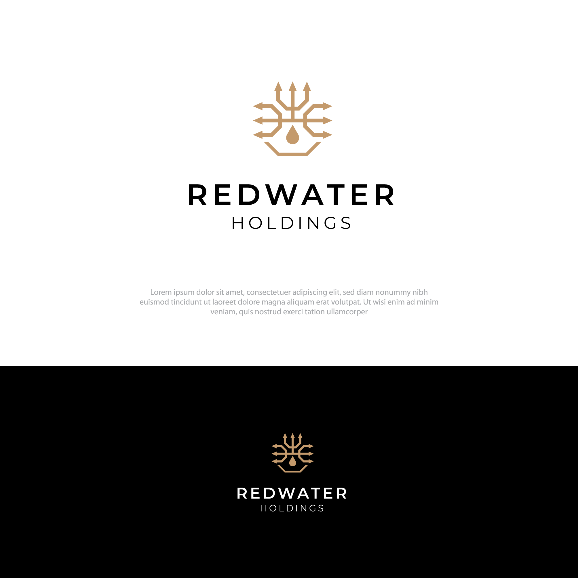 Diseño de Logo por alzac para este proyecto | Diseño #29288168