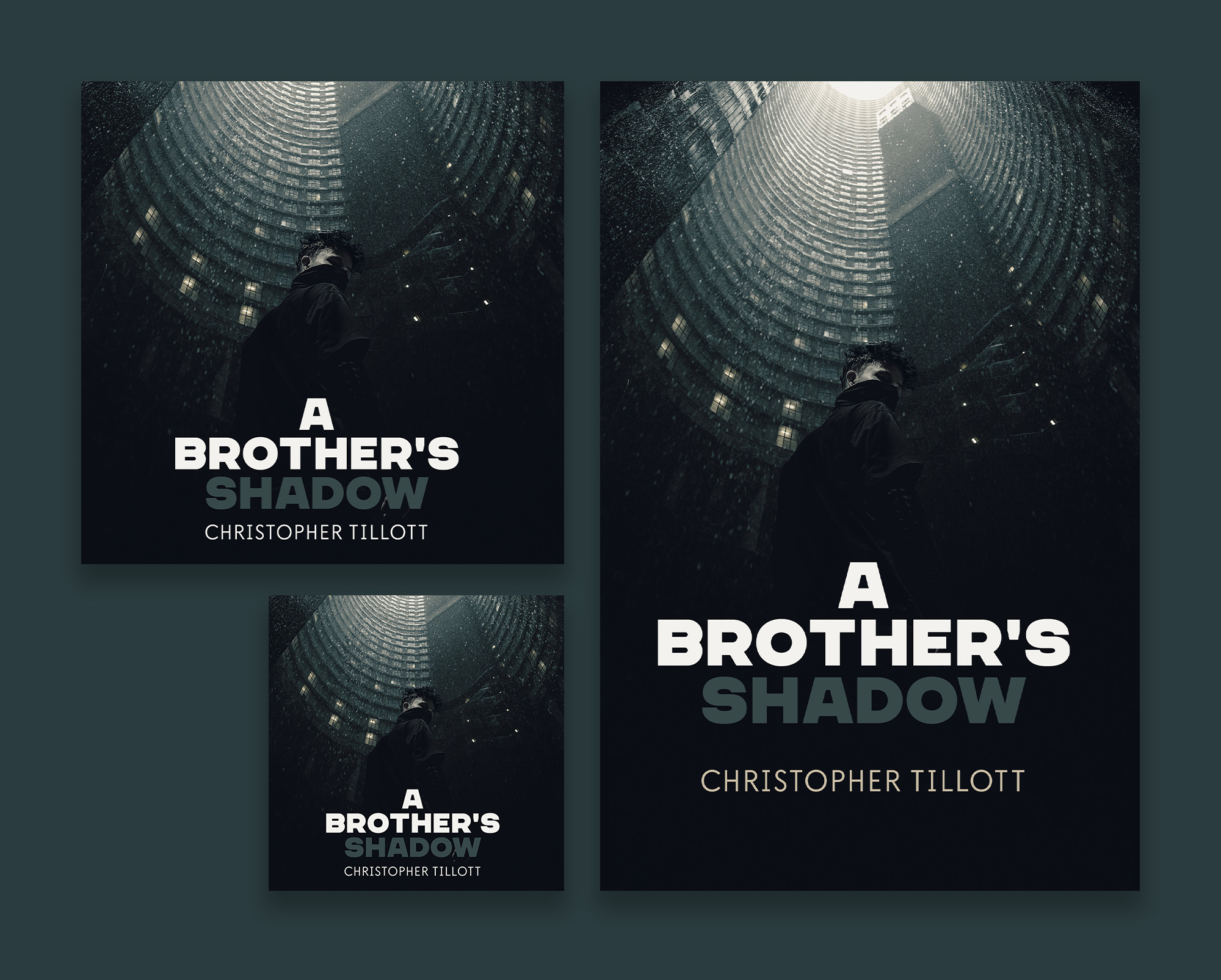 Book Cover Design by orphee for this project | Design #29269546