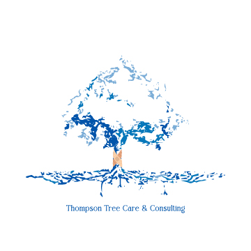 Logo Design by mstSamin for this project | Design #29297614