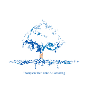 Logo Design by mstSamin