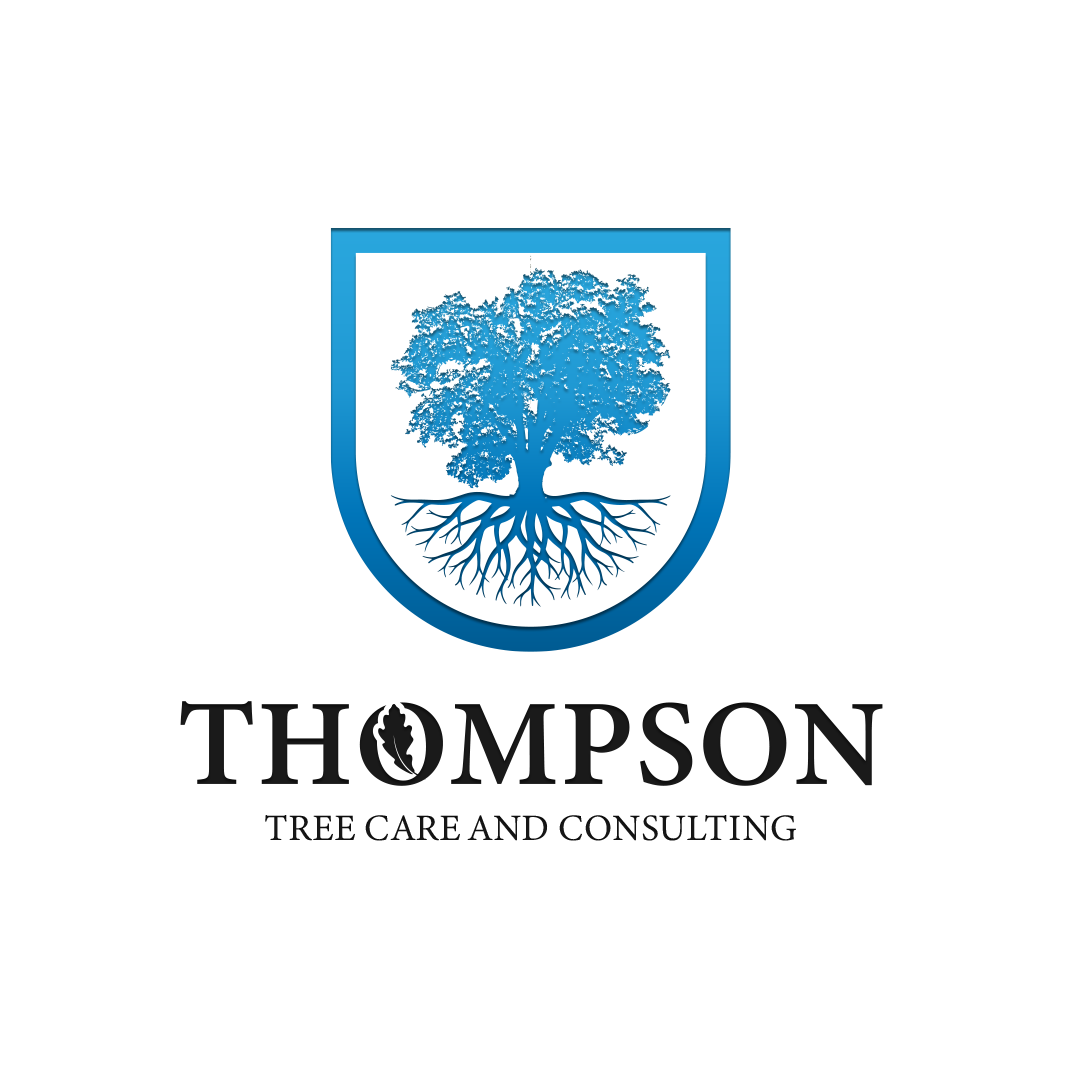 Logo Design by Iskolar Studio for this project | Design #29281479