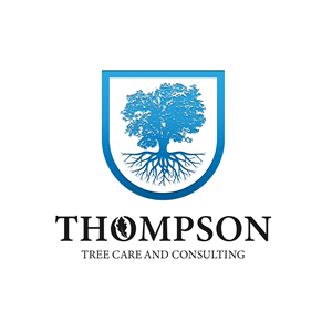 Logo Design by Iskolar Studio for this project | Design #29281479