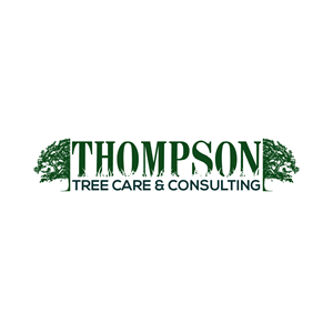 Logo Design by moisesf for this project | Design: #29293580