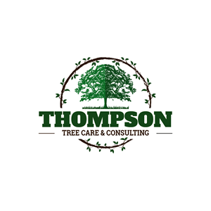 Logo Design by moisesf for this project | Design: #29294052