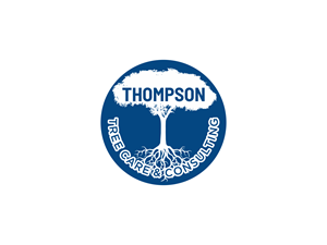 Logo Design by BNdesigner for this project | Design: #29270172