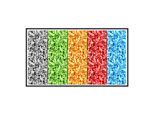 Design Art par nouarbiti pour ce projet | Design : #29268258