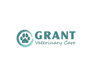 Logo Design by Onse Officials