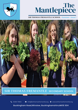 Newsletter Design by Expert Designer