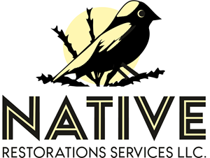 Logo Design by ILKNER