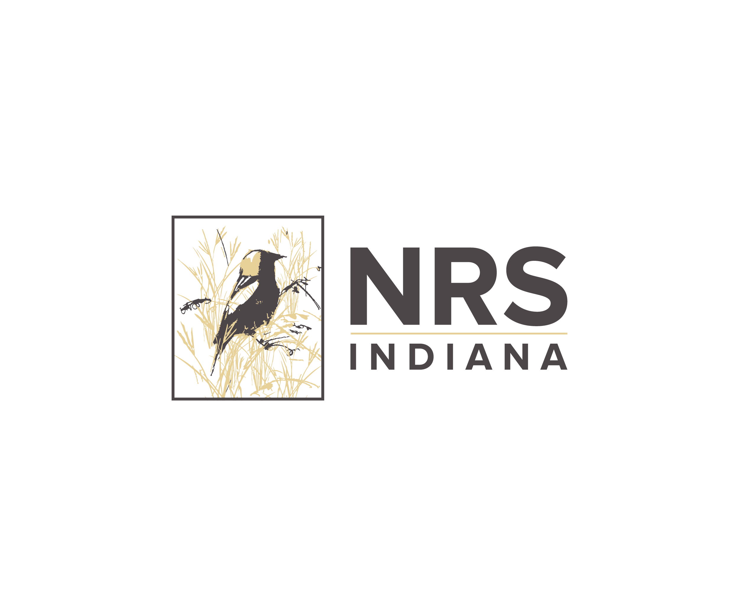Logo Design by Lioness Designs for Native Restoration Services LLC | Design #29292420