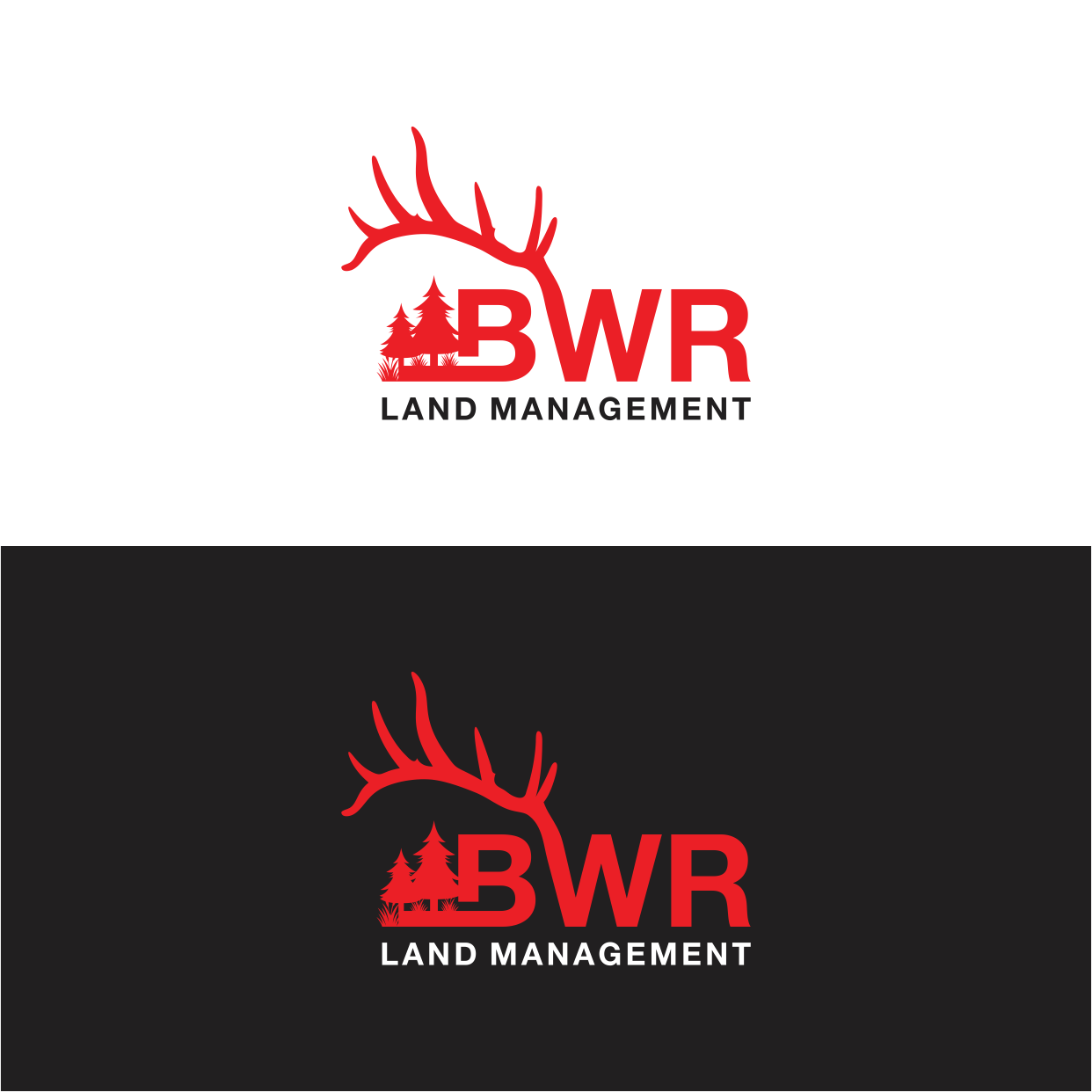 Logo Design by Kaze56 for this project | Design #29296660