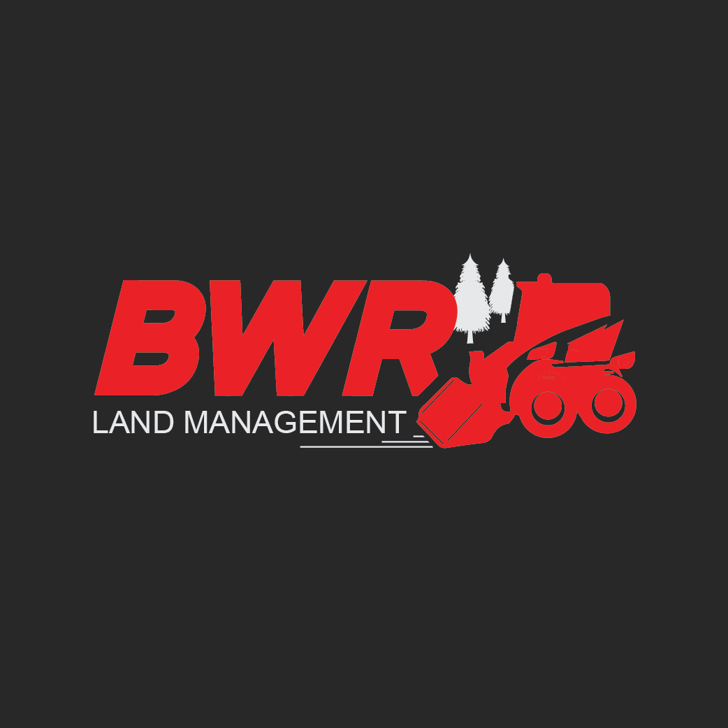 Logo-Design von liaarts für dieses Projekt | Design #29294024