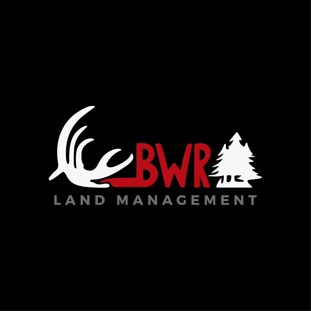 Logo Design by Ovaz.Syd for this project | Design #29309442